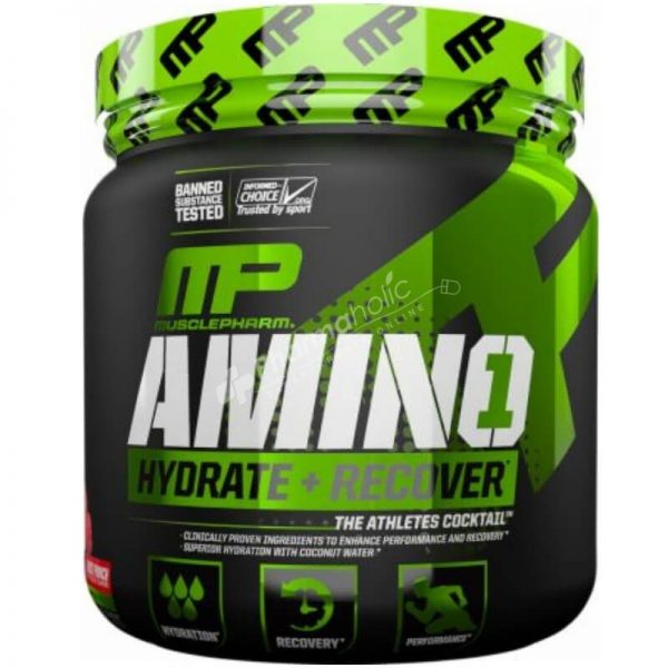 MP Amino1